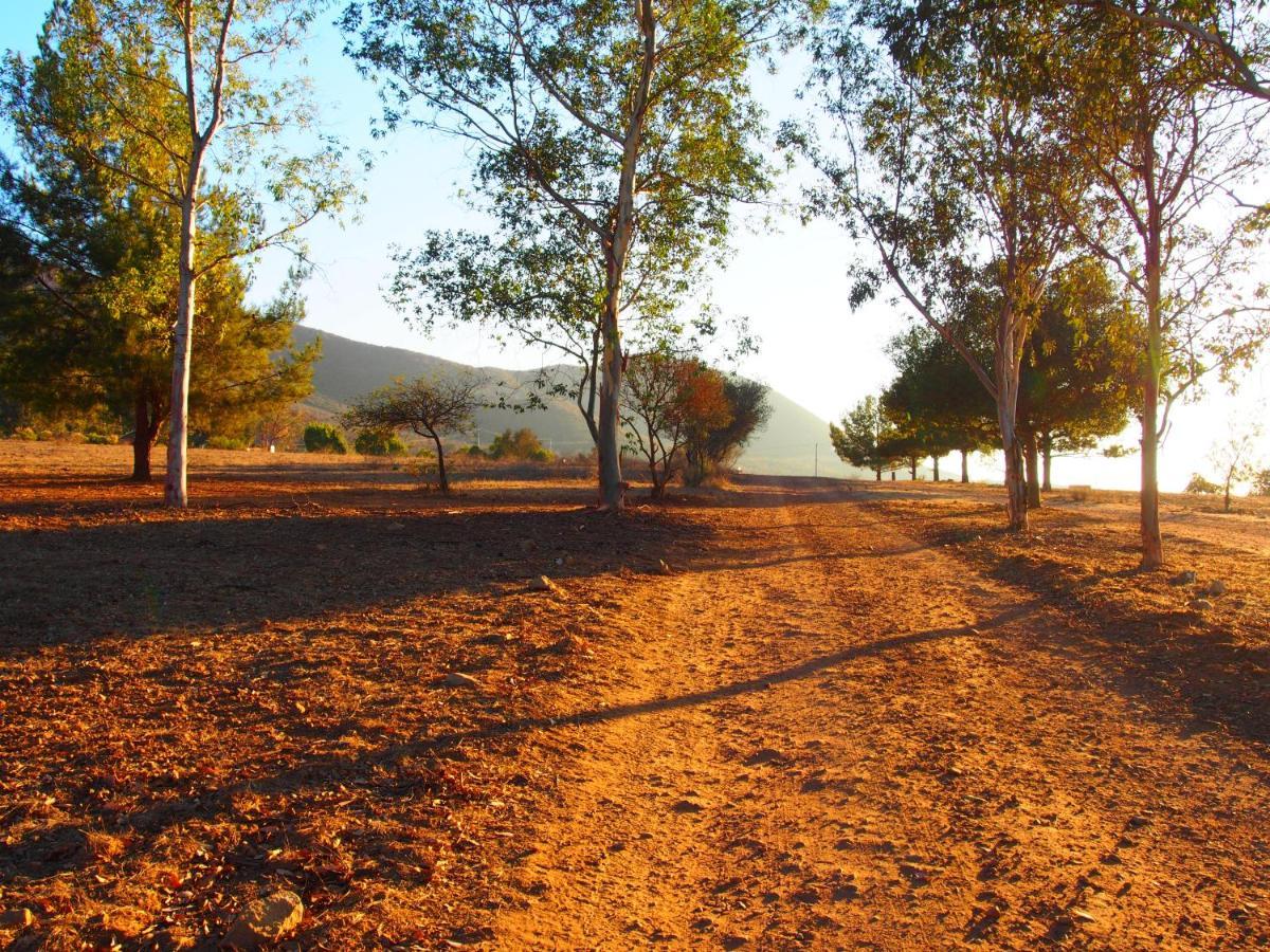 Casa Mayoral B&B Pet Friendly Valle de Guadalupe Exterior foto