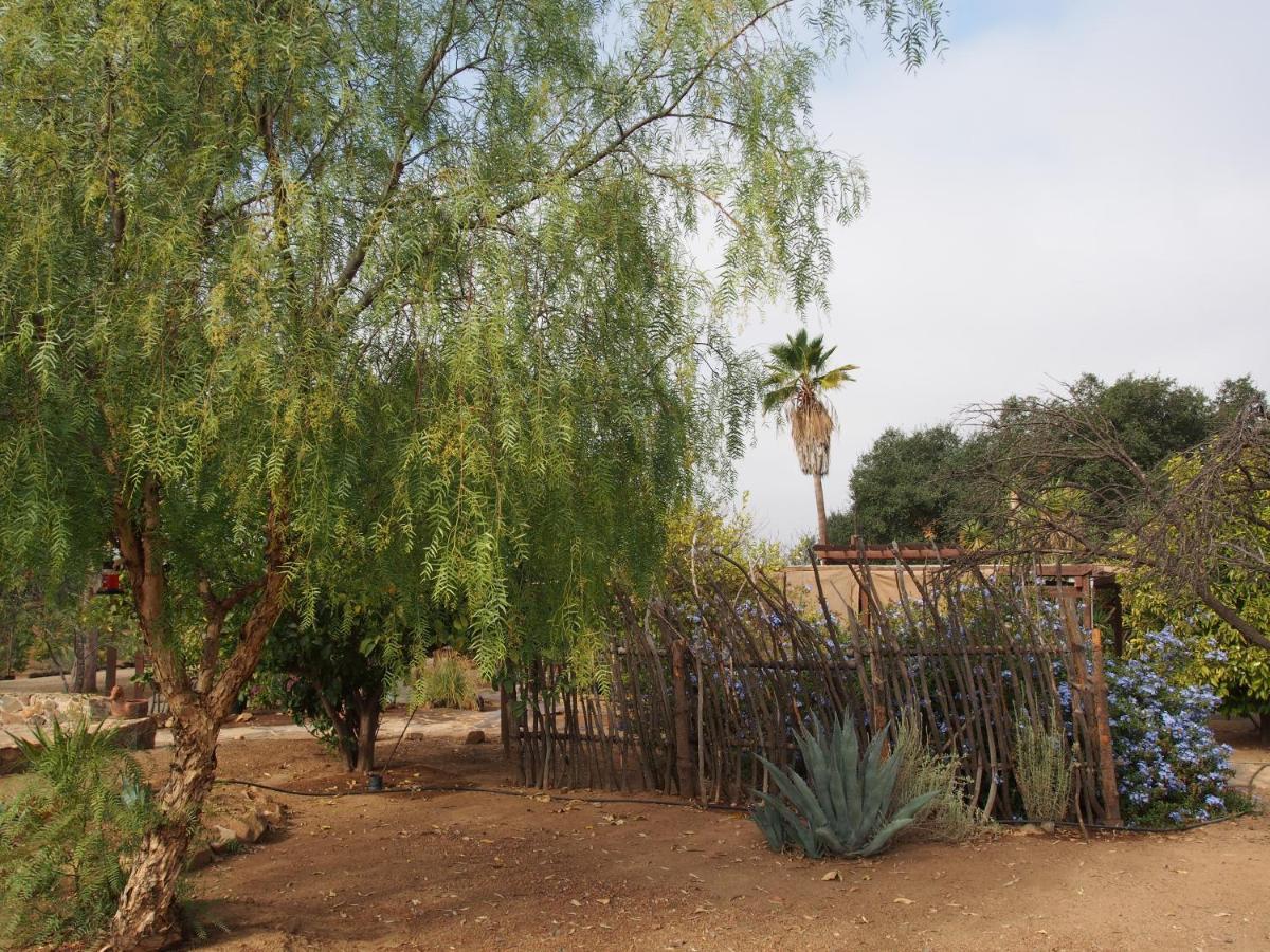 Casa Mayoral B&B Pet Friendly Valle de Guadalupe Exterior foto