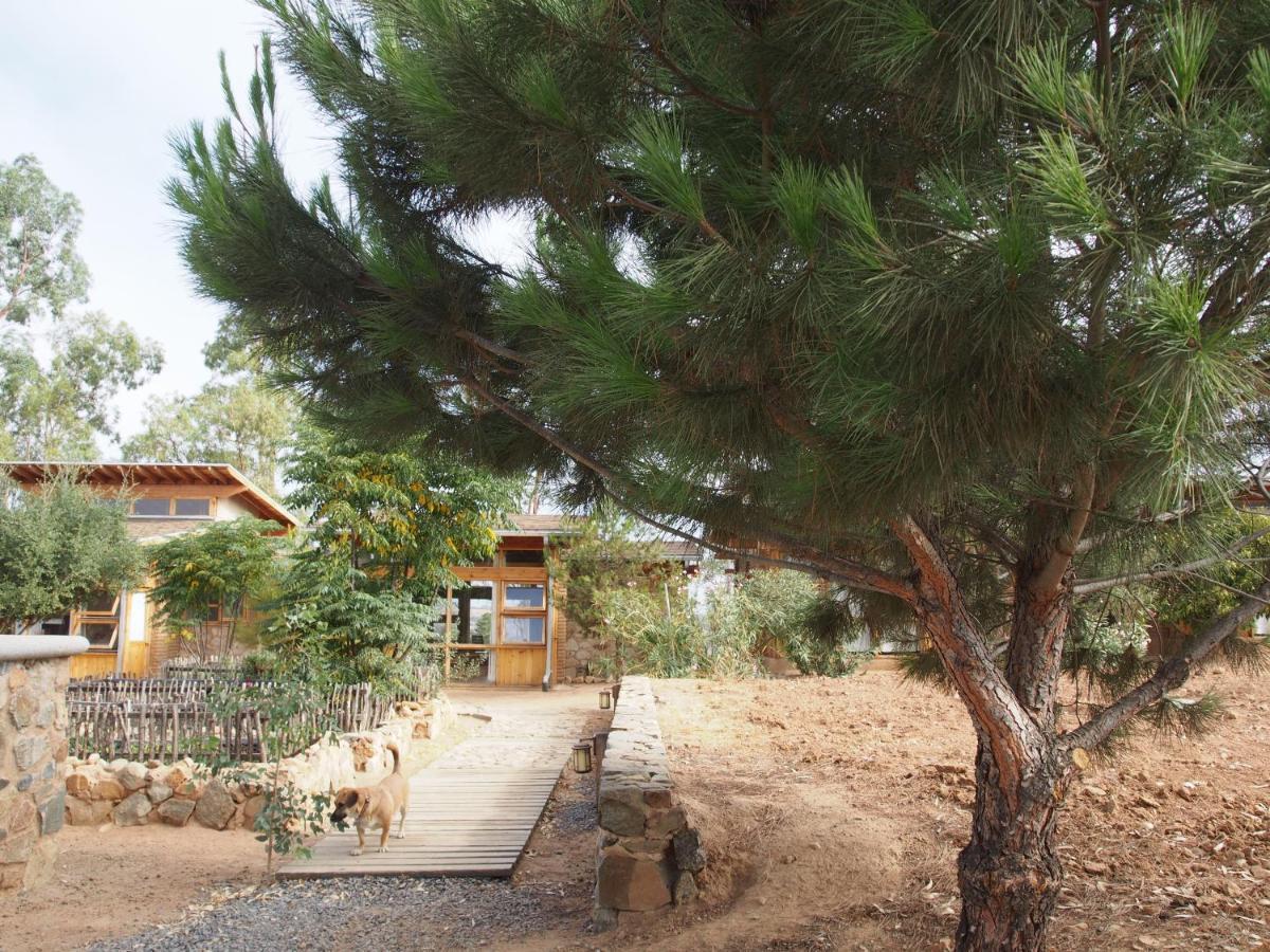 Casa Mayoral B&B Pet Friendly Valle de Guadalupe Exterior foto