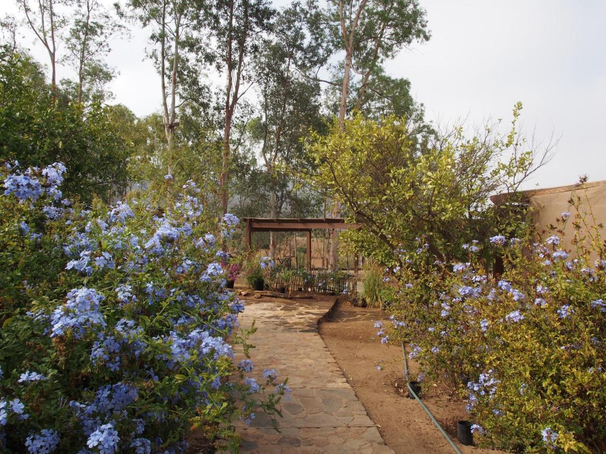 Casa Mayoral B&B Pet Friendly Valle de Guadalupe Exterior foto