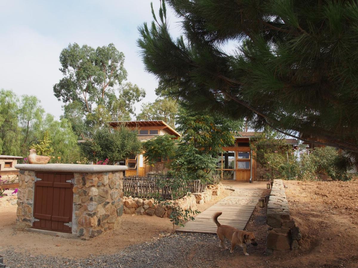Casa Mayoral B&B Pet Friendly Valle de Guadalupe Exterior foto