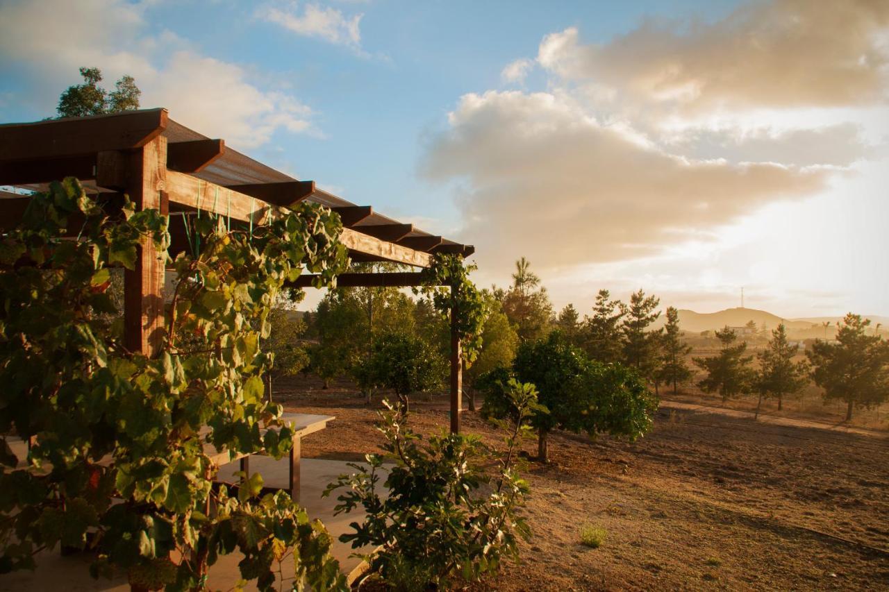 Casa Mayoral B&B Pet Friendly Valle de Guadalupe Exterior foto