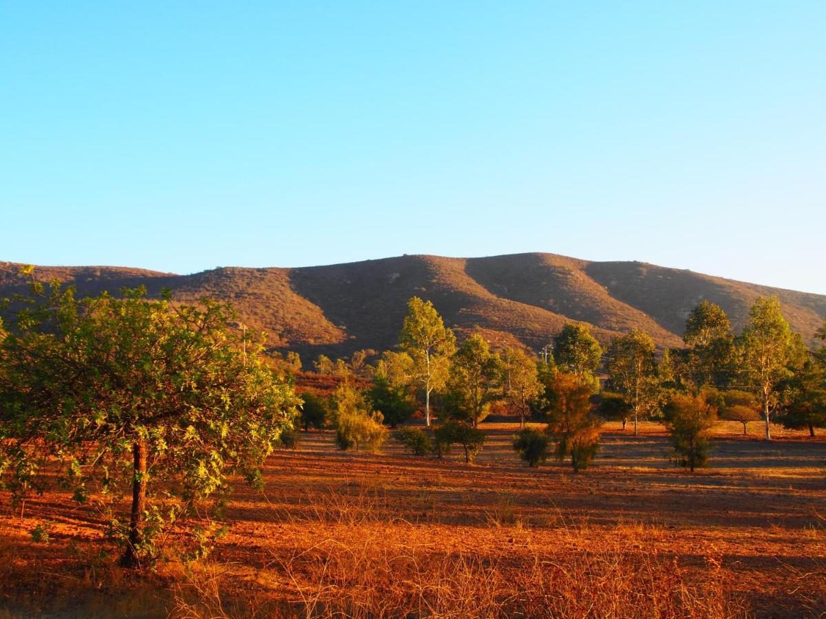 Casa Mayoral B&B Pet Friendly Valle de Guadalupe Exterior foto