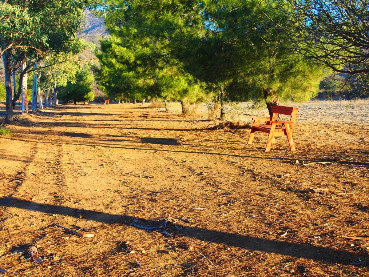 Casa Mayoral B&B Pet Friendly Valle de Guadalupe Exterior foto