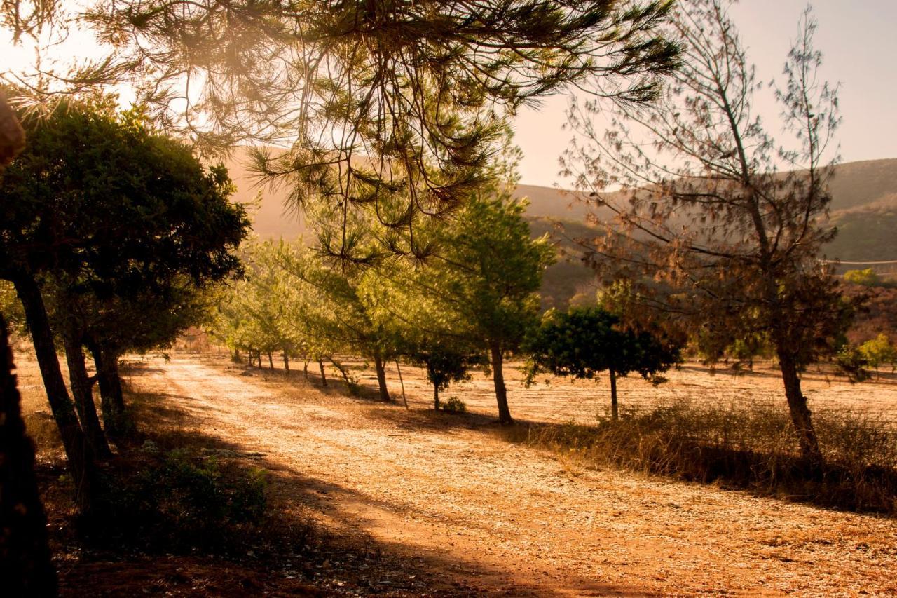 Casa Mayoral B&B Pet Friendly Valle de Guadalupe Exterior foto