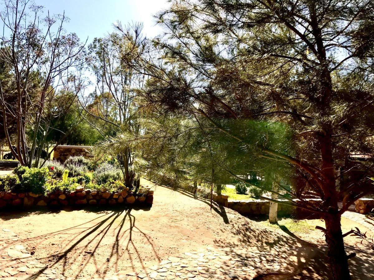 Casa Mayoral B&B Pet Friendly Valle de Guadalupe Exterior foto