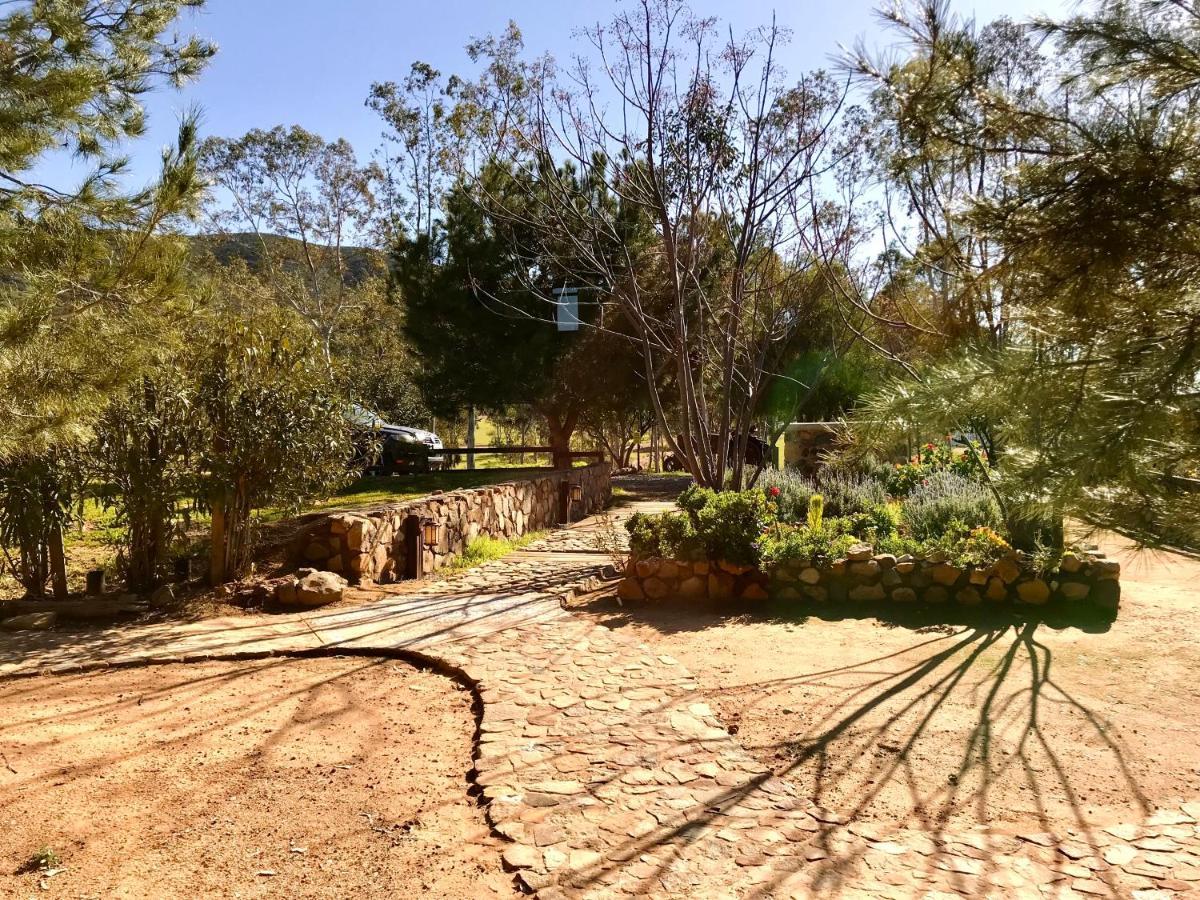 Casa Mayoral B&B Pet Friendly Valle de Guadalupe Exterior foto